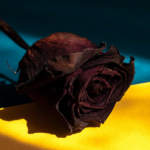 Wojna na Ukrainie: Pomiędzy konfliktem a nadzieją